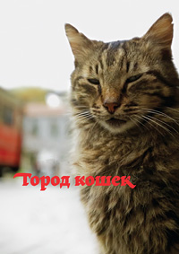 Город кошек (2016)