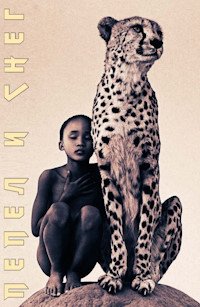 Пепел и снег (2005)