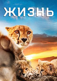 Жизнь (2011)