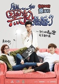 Так я женился на антифанатке (2016)