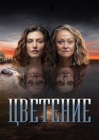 Сближение 1-2 сезон